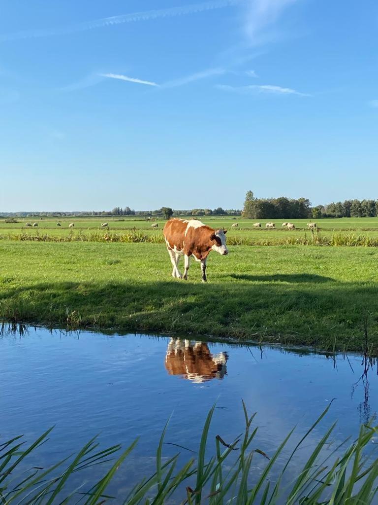 Вилла Exceptional House On The Waterfront Reeuwijk Экстерьер фото